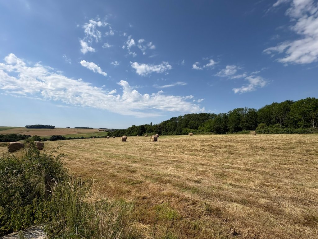 Ensemble de bâtiments + Terre Agricole A VENDRE - LA FERTE GAUCHER - 129 000 &euro;