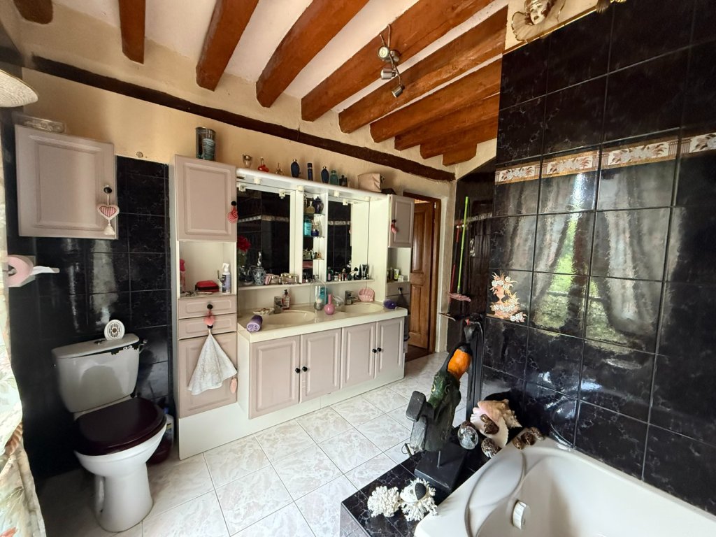 Maison Briarde Rurale A VENDRE - BERNAY VILBERT Centre du village - 200 m2 - 480�000�&euro;