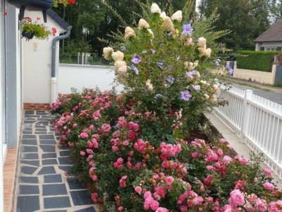 MAISON A VENDRE - CHENOISE - 153.15 m2 - 279 000 €