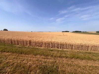 MAISON A VENDRE - CLOS FONTAINE - 145 m2 - 325 000 €