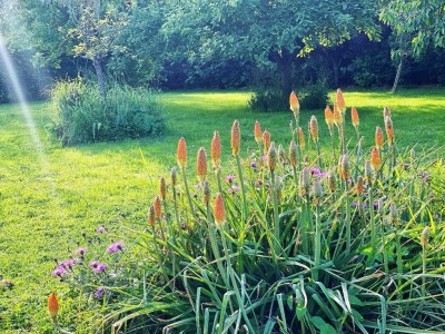 MAISON A VENDRE - CUCHARMOY - 237 m2 - 375 000 €