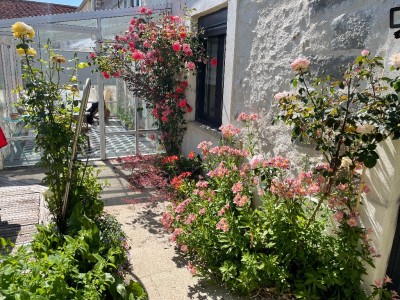 MAISON A VENDRE - CUCHARMOY - 237 m2 - 375 000 €