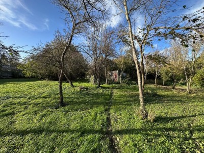 MAISON A VENDRE - LA FERTE GAUCHER - 174 m2 - 95000€
