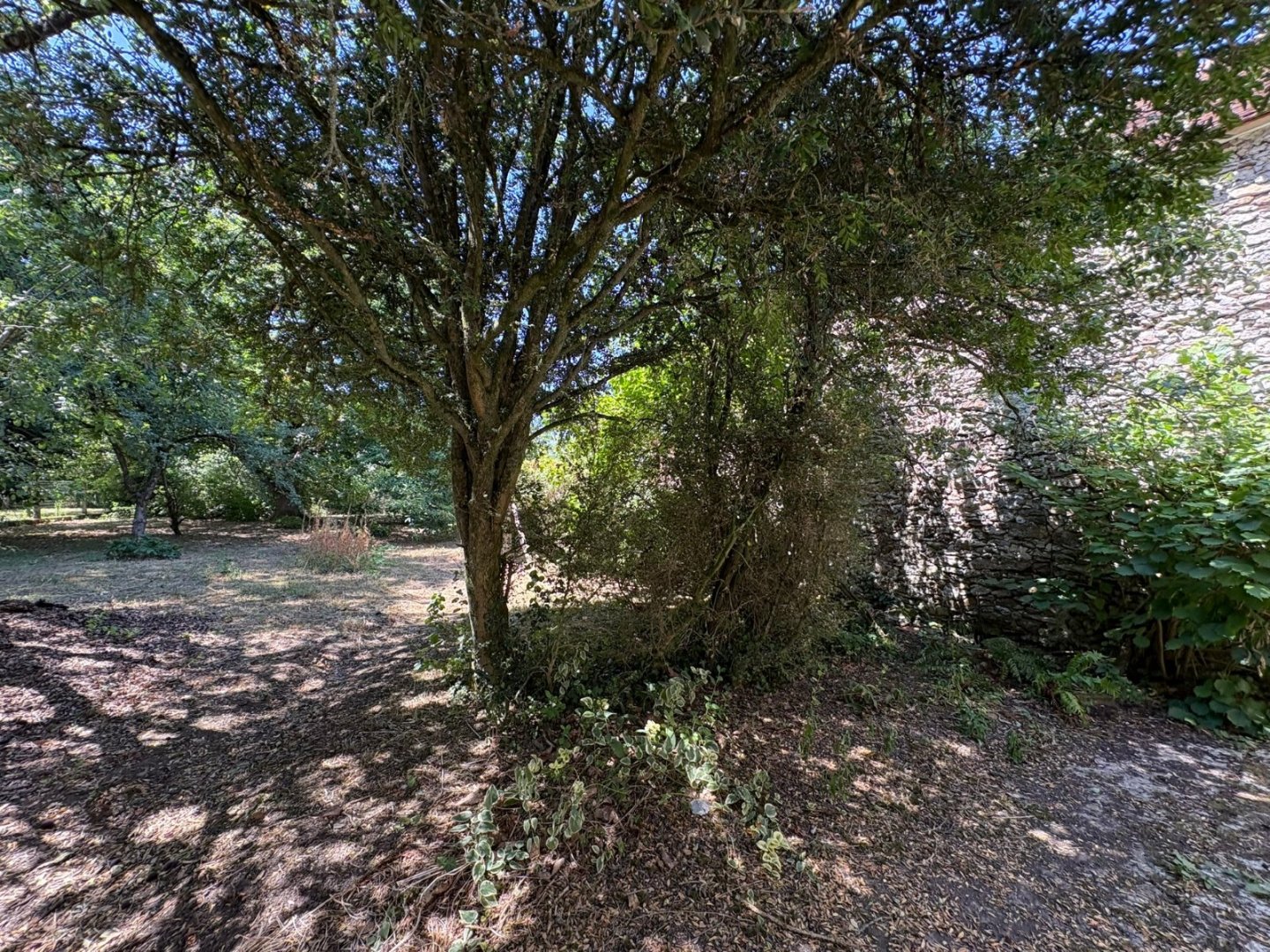 MAISON A RENOVER A VENDRE - LA FERTE GAUCHER - 90 m2 - 88 000 &euro;