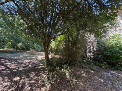 MAISON A RENOVER A VENDRE - LA FERTE GAUCHER - 90 m2 - 88 000 €