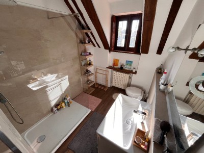 MAISON A VENDRE - LE PLESSIS FEU AUSSOUX - 300 m2 - 950 000 €