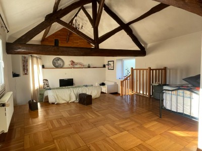 maison briarde A VENDRE - ROZAY EN BRIE - 280 m2 - 347000€