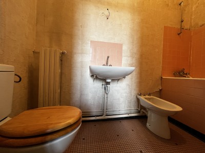 briarde A VENDRE - ROZAY EN BRIE - 260 m2 - 256 000 €