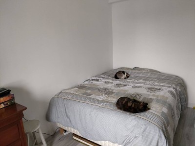 MAISON A VENDRE - ROZAY EN BRIE - 130 m2 - 399 900 €