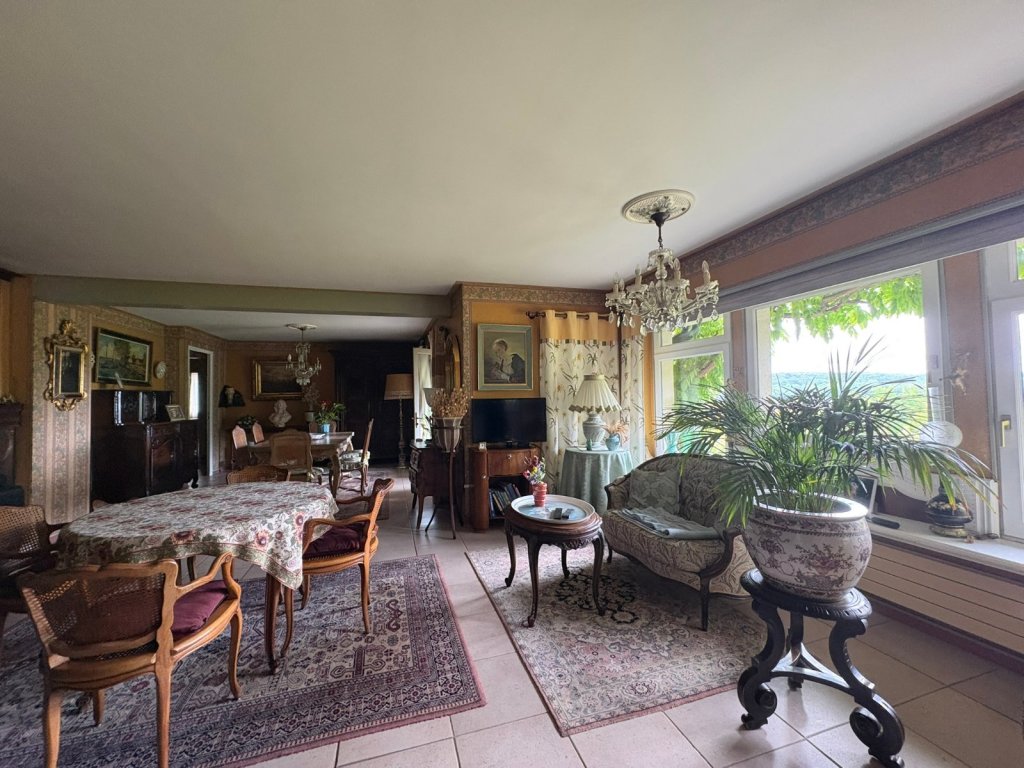 MAISON A VENDRE - VILLENEUVE SUR BELLOT - 250 m2 - 403 000 &euro;