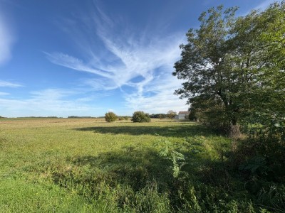 TERRAIN A VENDRE - CHOISY EN BRIE - 2237 m2 - 105000€