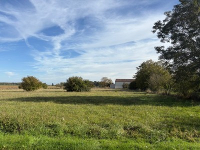 TERRAIN A VENDRE - CHOISY EN BRIE - 2237 m2 - 105000€
