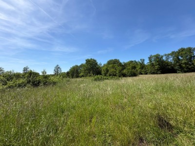 TERRAIN A VENDRE - JOUY SUR MORIN - 629 m2 - 46 000 &euro;