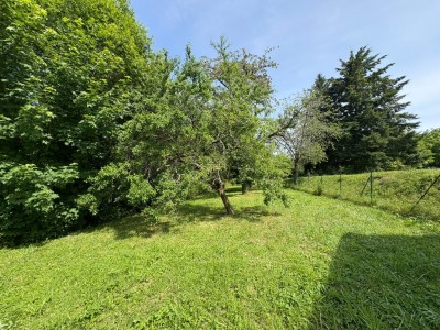 TERRAIN A VENDRE - LA FERTE GAUCHER - 832 m2 - 39000€