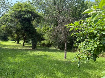 TERRAIN A VENDRE - LA FERTE GAUCHER - 832 m2 - 39000€