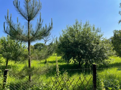 TERRAIN DE LOISIRS A VENDRE - ROZAY EN BRIE - 1903 m2 - 39000€