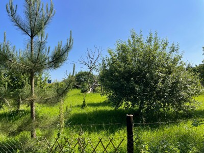 TERRAIN DE LOISIRS A VENDRE - ROZAY EN BRIE - 1903 m2 - 39000€