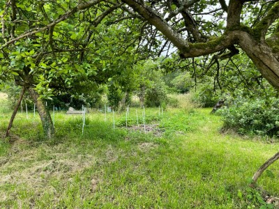 TERRAIN DE LOISIRS A VENDRE - ROZAY EN BRIE - 1903 m2 - 39000€