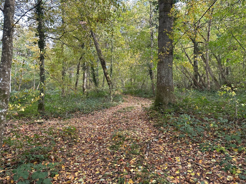 TERRAIN A VENDRE - ST SIMEON - 50246 m2 - 45�000�&euro;