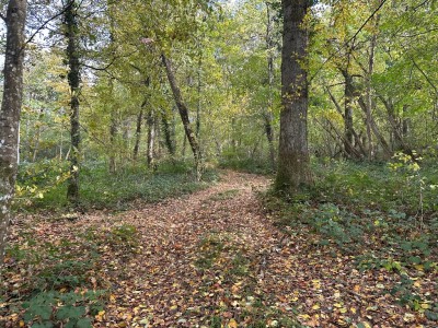 TERRAIN A VENDRE - ST SIMEON - 50246 m2 - 45�000�&euro;