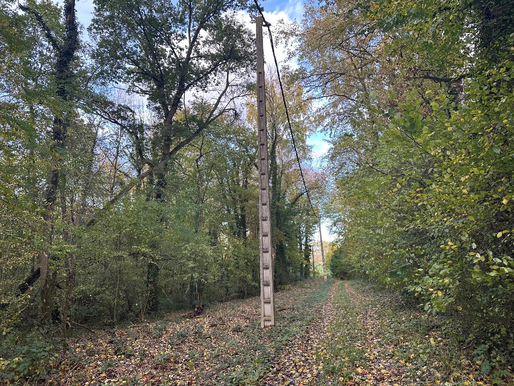 BOIS - ST SIMEON - 50246 m2 - VENDU