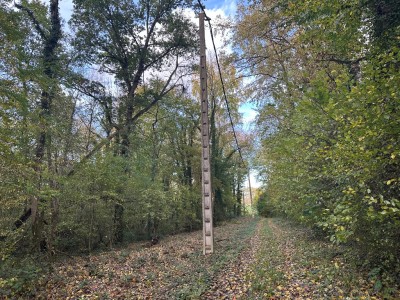 BOIS - ST SIMEON - 50246 m2 - VENDU