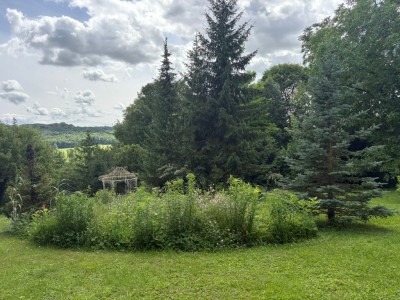 TERRAIN A BATIR A VENDRE - VILLENEUVE SUR BELLOT - 1359 m2 - 75 000 €