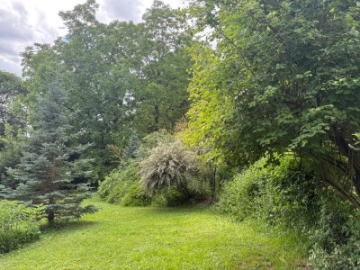 TERRAIN A BATIR A VENDRE - VILLENEUVE SUR BELLOT - 1359 m2 - 75 000 €