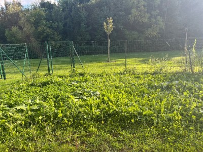 STUDIO LOUE FONTENAY TRESIGNY